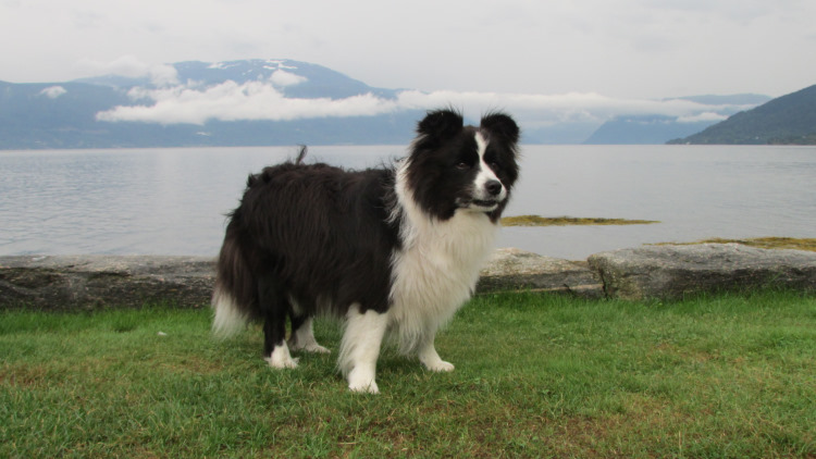 cf7c6dea-2486-455f-bcad-7145612f4791_medium